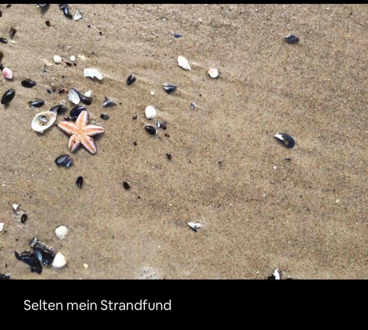 Die Kleine Acht - Direkt Am Strand Dierhagen Eksteriør bilde