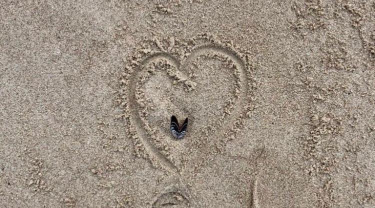 Die Kleine Acht - Direkt Am Strand Dierhagen Eksteriør bilde